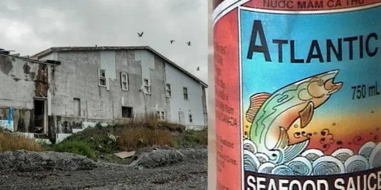 St Marys Newfoundland fish sauce plant cleanup